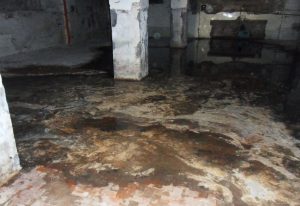 sewer remediation diresco